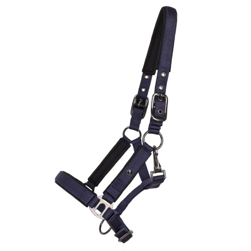 Halfter für Pferd QHP Deluxe