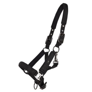 Halfter für Pferd QHP Deluxe