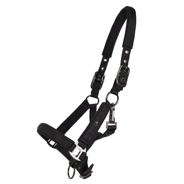 Halfter für Pferd QHP Deluxe