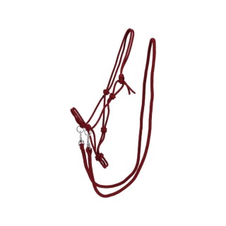 Seilhalfter mit Zügel für Pferde QHP