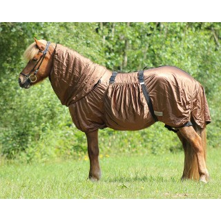 Ekzemerdecke QHP Icelandic