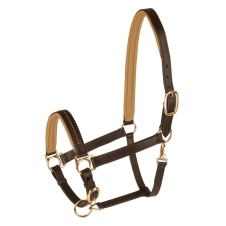 Halfter für Pferd Star Diamond