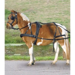 Sattelpad für Ponys und Shettys Star