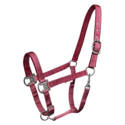 Halsband für Pony Waldhausen Gloomy