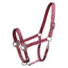 Halsband für Pony Waldhausen Gloomy