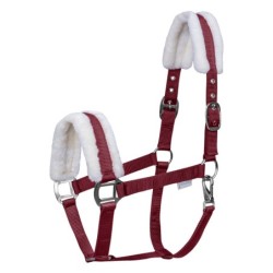 Mini-Shetland Halfter mit Fell Waldhausen First