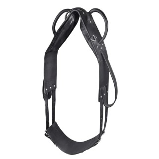 Surfaix für Voltigier- und Longenreiten Star