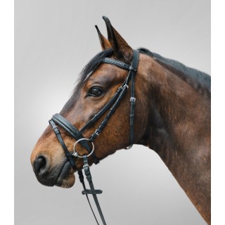 Kombinierte Nasenriemenreithalfter Star Diamond