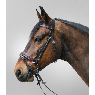 Kombinierte Nasenriemenreithalfter Star Diamond