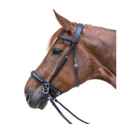 Kombinierter Zaum für Reiten ohne Gebiss Star