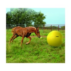 Maximus Power Play Ball