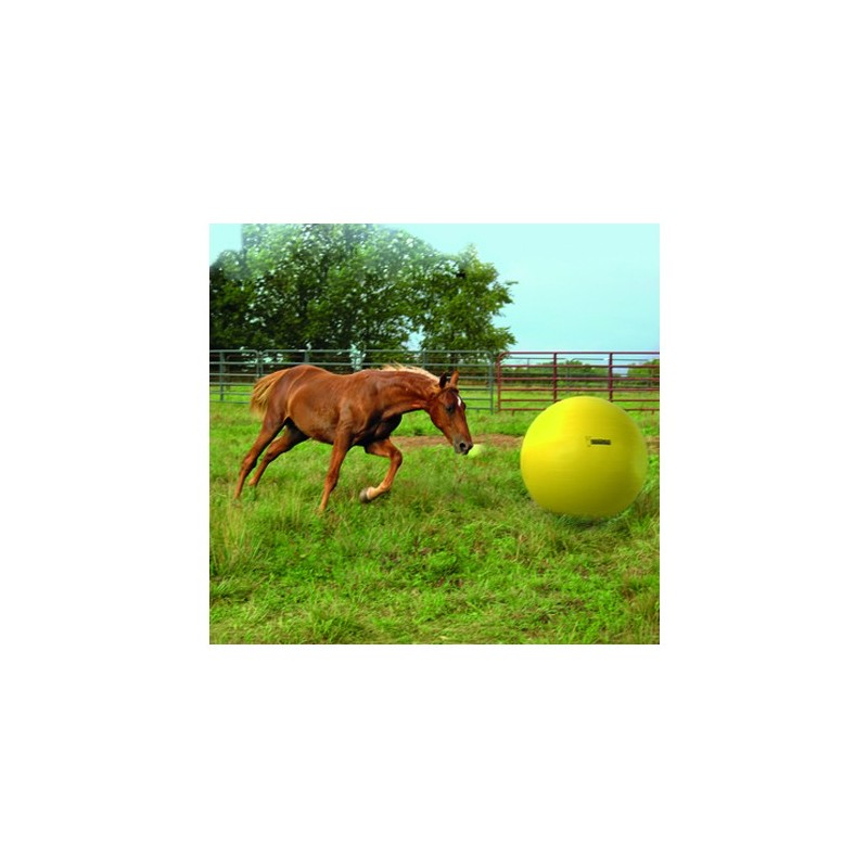 Maximus Power Play Ball