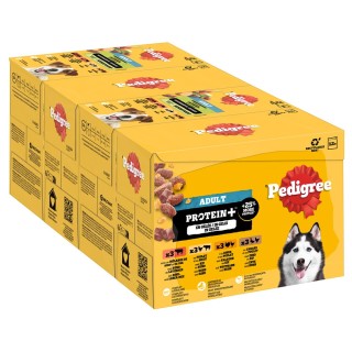 Pedigree Adult Frischebeutel Protein Plus in Gelee - 12 x 85 g (4 Varietäten)