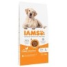 IAMS Advanced Nutrition Senior Large Dog 7+ mit Huhn - 12 kg