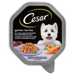 Megapack Cesar Schale 14 x 150 g - Lamm, Karotten und Koriander in Gelee