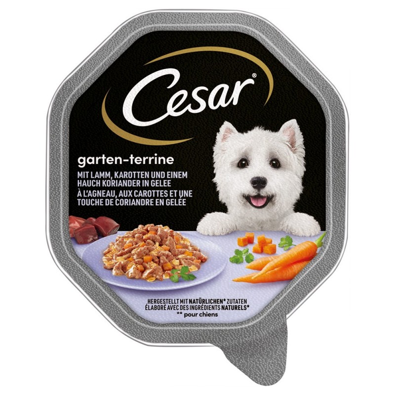 Megapack Cesar Schale 14 x 150 g - Lamm, Karotten und Koriander in Gelee