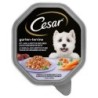Megapack Cesar Schale 14 x 150 g - Lamm, Karotten und Koriander in Gelee