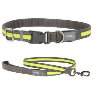 Kerbl Pet Light & Reflex Set Leuchthalsband und -leine - Set: Halsband Größe S/M + Leine 120 cm