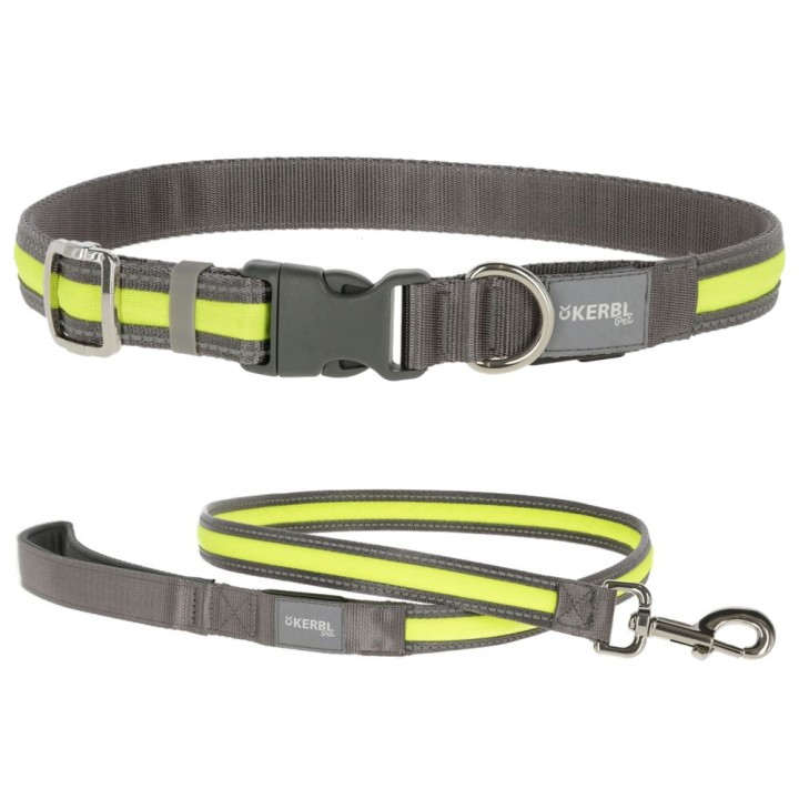 Kerbl Pet Light & Reflex Set Leuchthalsband und -leine - Set: Halsband Größe S/M + Leine 120 cm