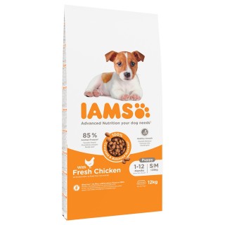 IAMS Advanced Nutrition Puppy Small / Medium Breed mit Huhn - 12 kg