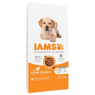 IAMS Advanced Nutrition Puppy Large mit Huhn - 12 kg