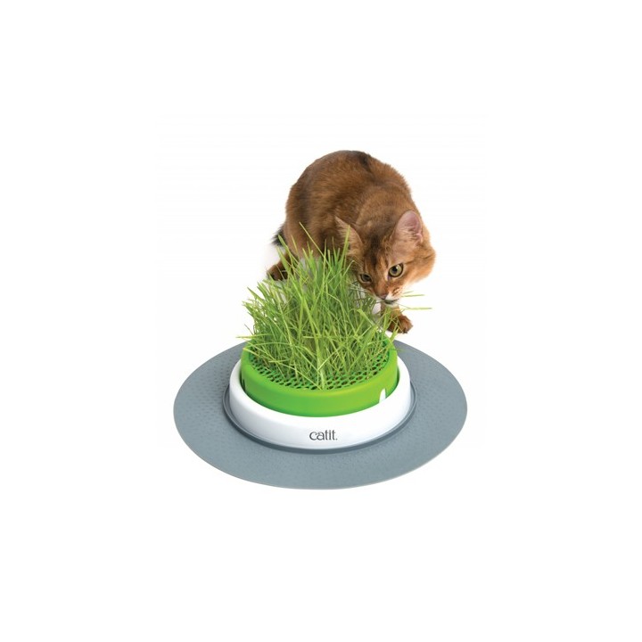 Catit Senses 2.0 Grastopf
