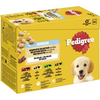 Pedigree Junior Frischebeutel Multipack - 12 x 100 g Gemischte Selektion in Gelee (4 Varietäten)