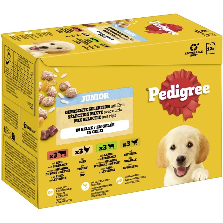 Pedigree Junior Frischebeutel Multipack - 12 x 100 g Gemischte Selektion in Gelee (4 Varietäten)