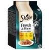 Multipack Sheba Fresh & Fine Frischebeutel 6 x 50 g - Truthahn, Huhn & Geflügel in Gelee