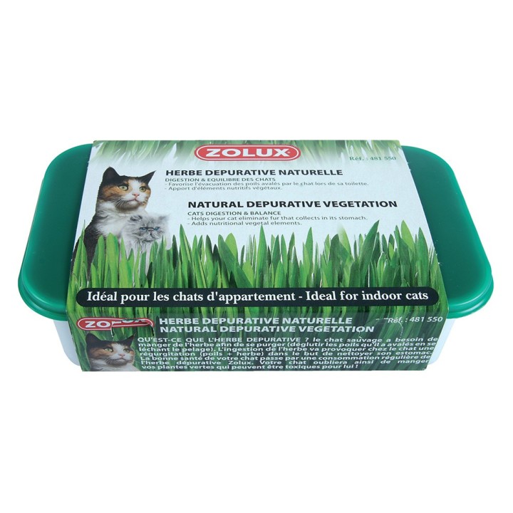 Zolux Katzenminze - L 15 x B 10 x H 5 cm