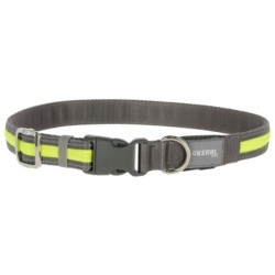 Kerbl Pet Light & Reflex Leuchtleine - 120 cm lang, 25 mm breit