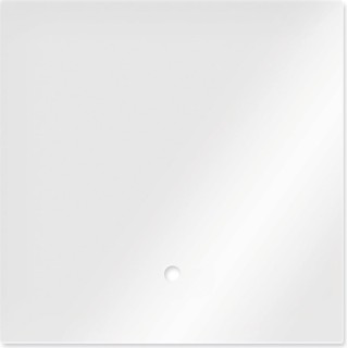 Dennerle Abdeckscheibe für  NANO Cube 30L - 1 Stk