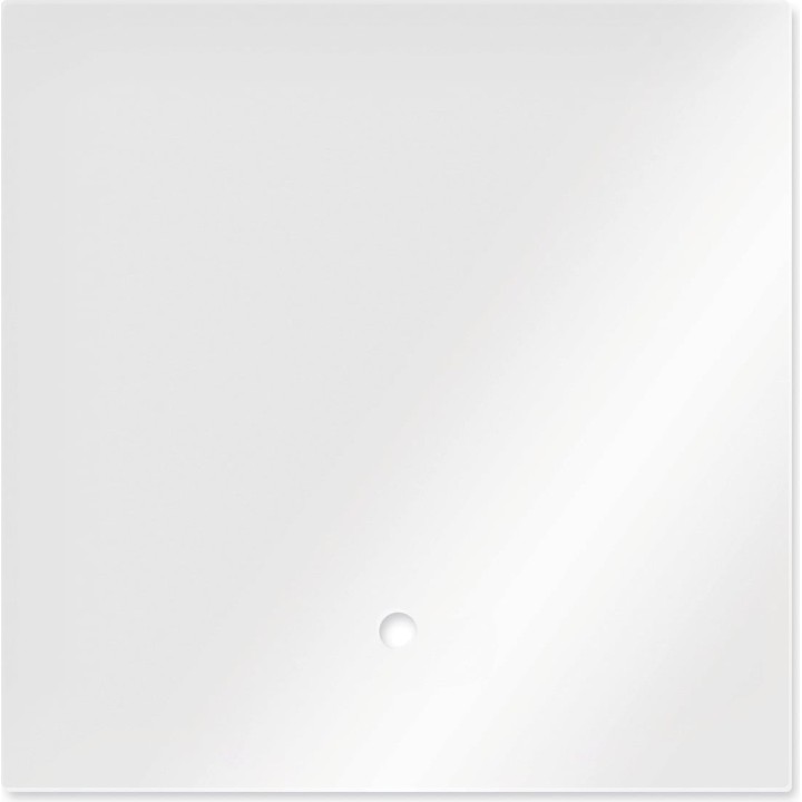 Dennerle Abdeckscheibe für  NANO Cube 30L - 1 Stk