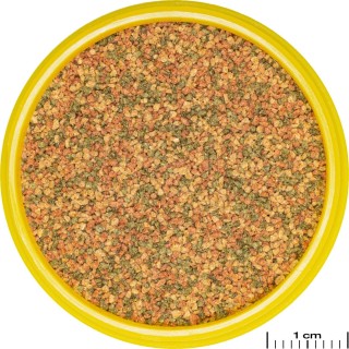 JBL PRONOVO BEL GRANO XS - 100ml CLICK