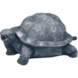 Oase Wasserspeier Schildkröte - 1 Stk