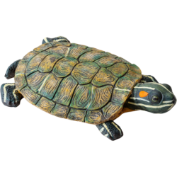 Exo Terra Turtle Island - Turtle