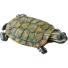 Exo Terra Turtle Island - Turtle