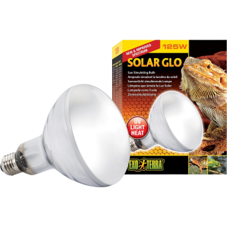 Exo Terra Solar-Glo - 125 W