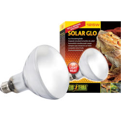 Exo Terra Solar-Glo - 125 W