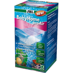 JBL BabyHome proAir - 1 Stk