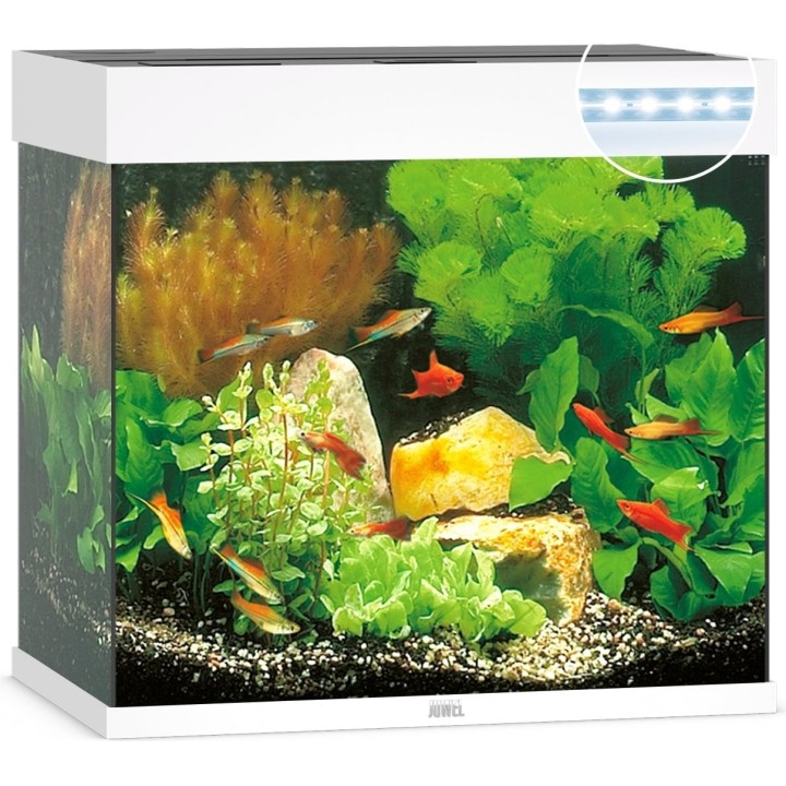 Juwel Lido 120 LED  Aquarium - weiß