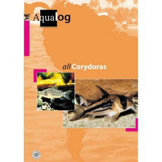 Animalbook All Corydoras - 1 Stk