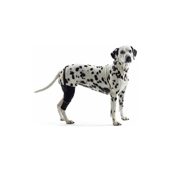 Kruuse Rehab Knieschutz - Rechts - XS