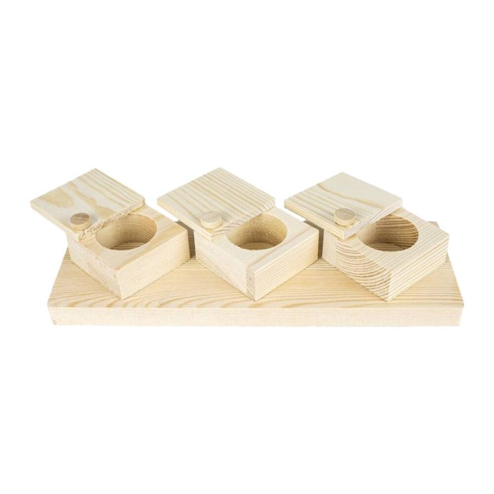 Back Zoo Nature Brain Trainer Cups