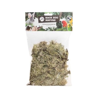 Back Zoo Nature Branch Moss