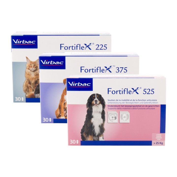Fortiflex 375 - 30 Tabletten