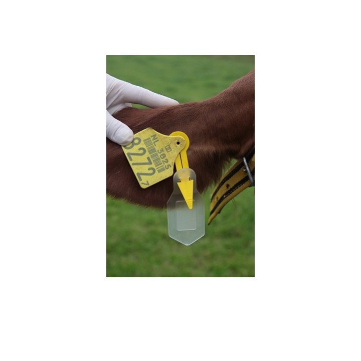 Auriplak - 10 Stück