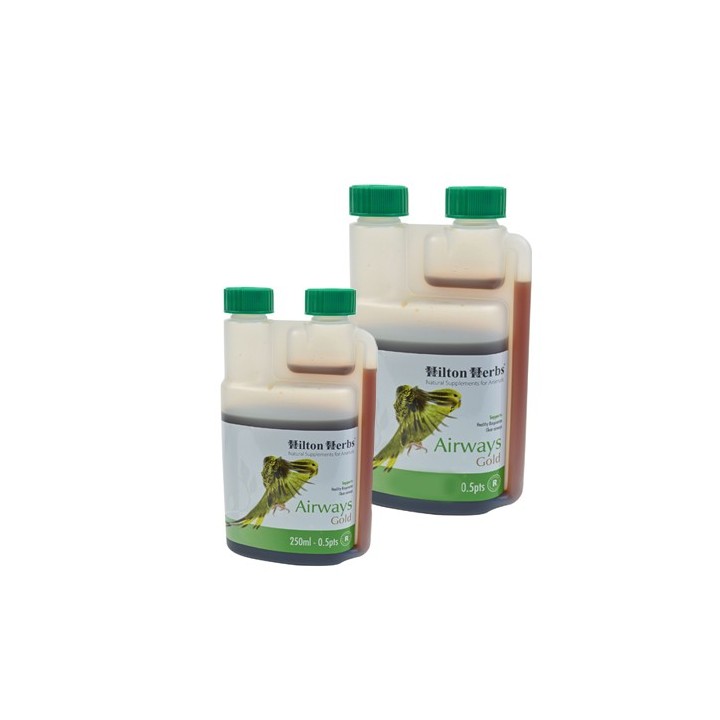 Hilton Herbs Airways Gold for Birds (für Vögel) - 500 ml