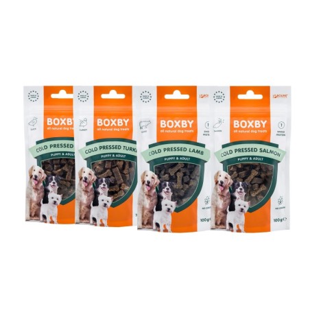 Boxby Grain Free Treats - Lachs - 100 g