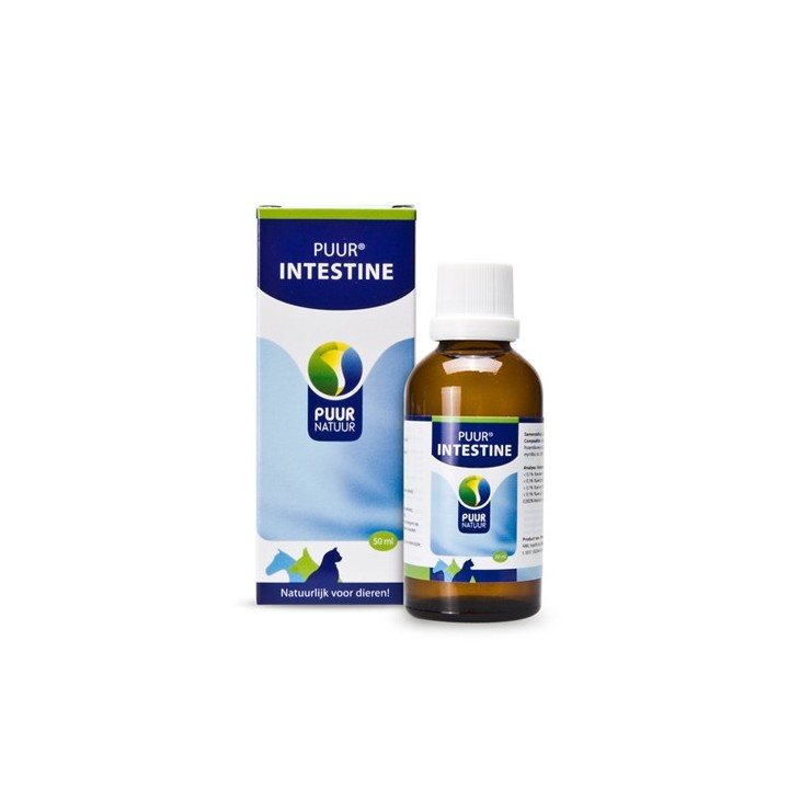 Puur Intestine (ehemals Puur Darm) - 50 ml